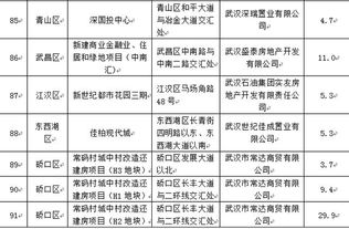 武汉四季度这142个商品房项目可入市销售